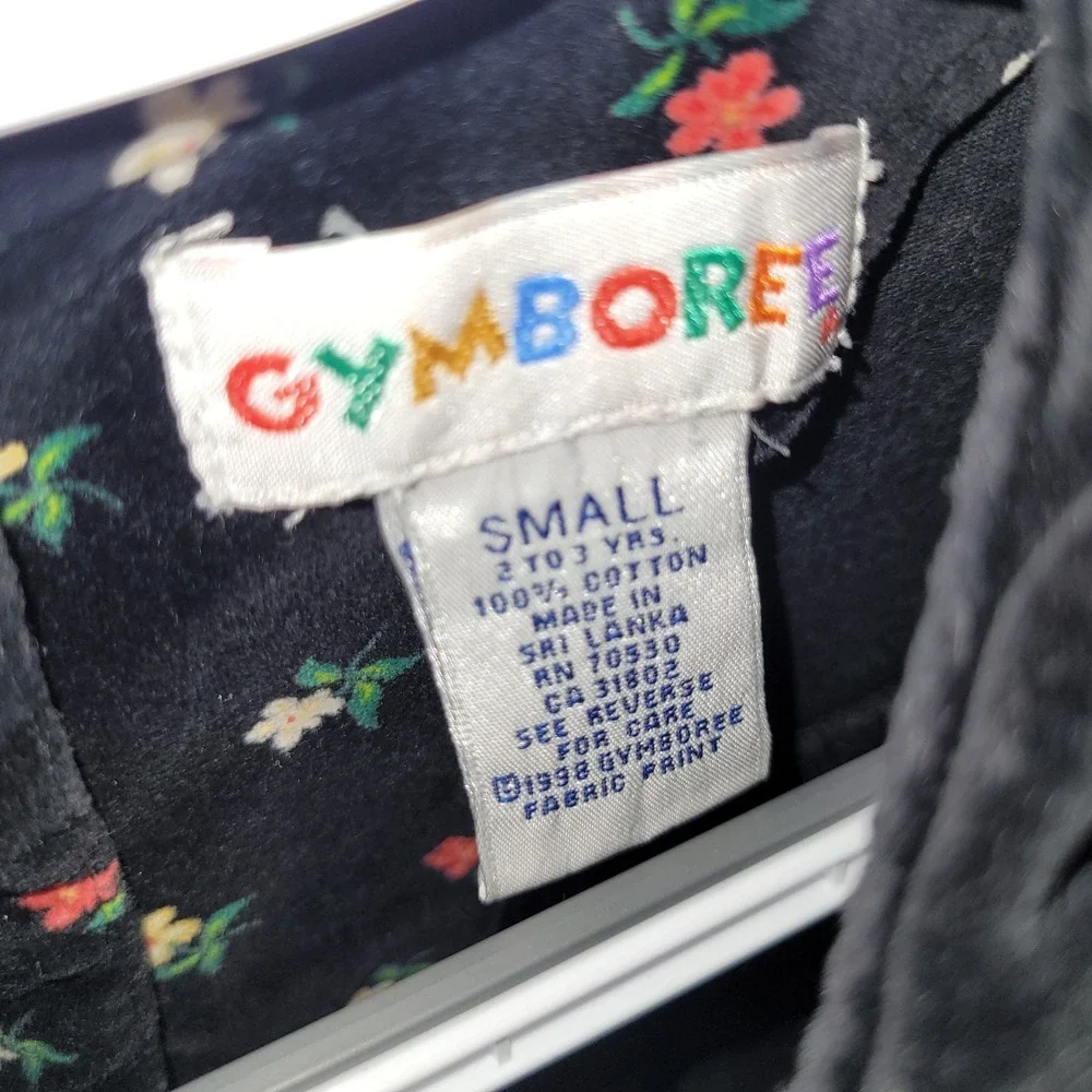 Gymboree vintage velvet